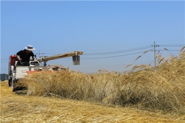이천시농업기술센터, 2025년 농업기술보급혁신 우수사례 경진대회 '우수상' 수상