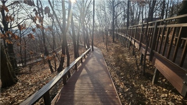 서초구, 도구머리근린공원 무장애숲길 활짝 열어