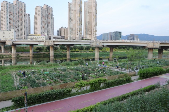 도심 속 텃밭에서 힐링을…금천구, '도시농업체험장' 텃밭 분양