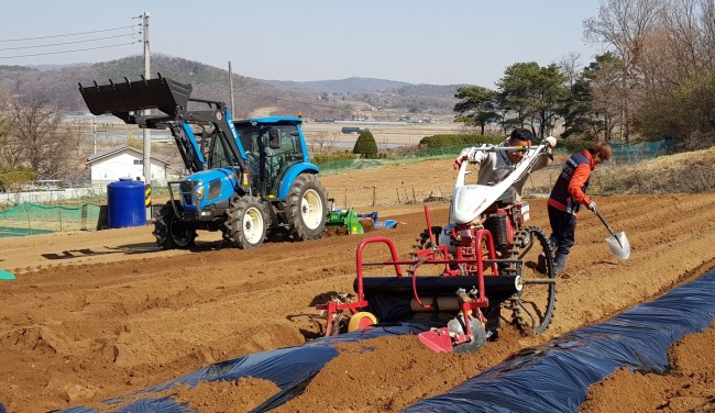 강화군, 밭 농작업 대행 서비스 추진…농촌 일손 부족 문제 해법 큰 호응