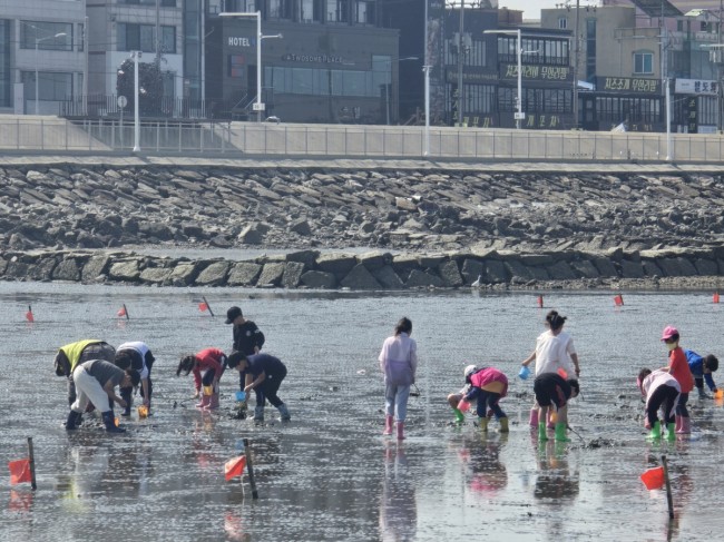 시흥시 오이도 어촌체험휴양마을, 3월 1일 개장