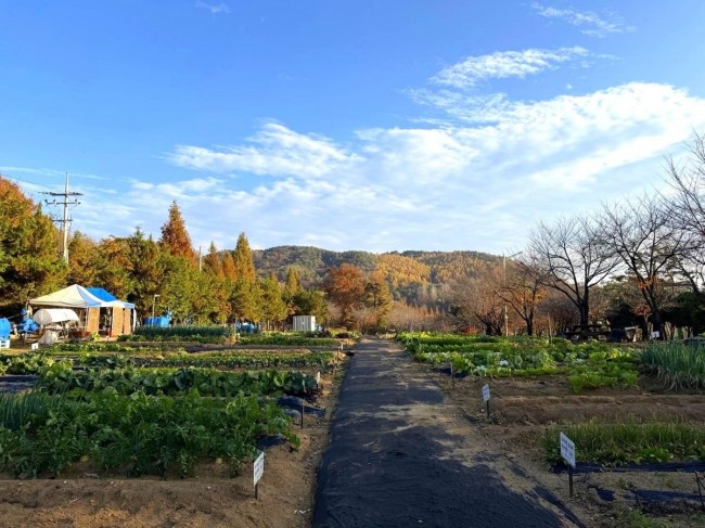 안성시, 2026년 도시농업공동체 공공텃밭 분양자 모집