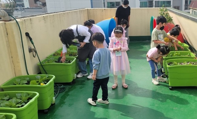 집에서도 텃밭 가꾼다…금천구, 상자텃밭 830세트 보급