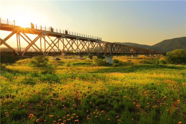 낙동강 석양 따라 달린다…김해 '선셋 바이크'