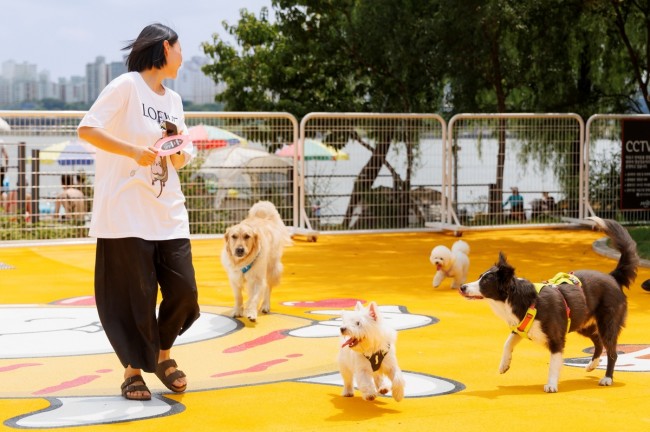 봄나들이 전 반려동물 건강부터…마포구, 광견병 예방접종 지원