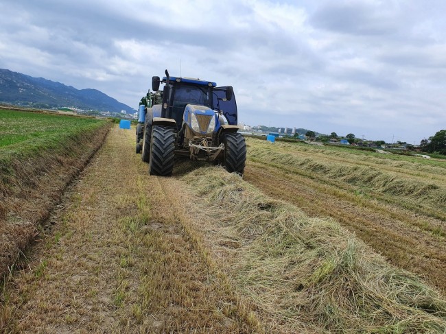 전남도, 축산농가 조사료 수급안정에 1천29억 지원