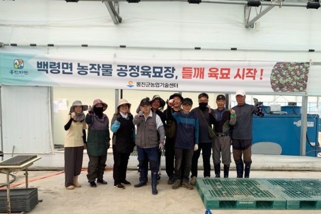 옹진군 백령면 농작물 공정육묘장, 들깨 육묘 시작