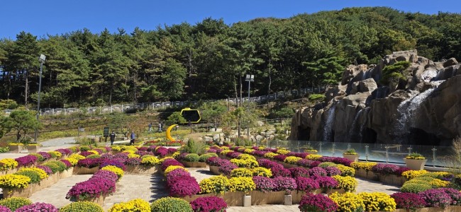강화군, 가을 화개정원·교동 평화 미션 투어로 교동도 가을 관광 활기